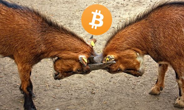 Divoký víkend Bitcoinu a Bitcoinu Cash