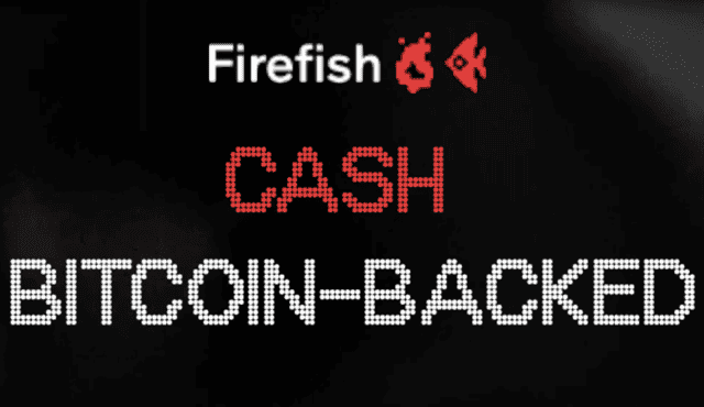 Firefish – půjčka proti zástavě bitcoinu [RECENZE]