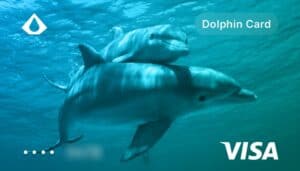 Dolphin Card